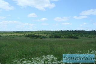 Участок 26 га. СНТ «Измайловские горки» вблизи д. Горки. Природа супер. Тихо, чисто и зелено. 