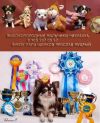 Уменьшенная картинка