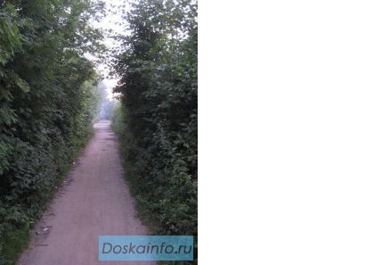 Продажа участка. Продажа земли