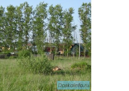 Участок 12 соток в Крекшино