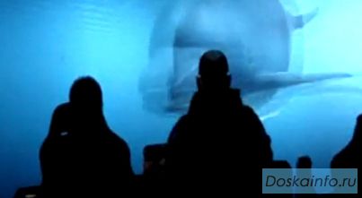 Оборудование для аттракциона 4D 5D кинотеатр