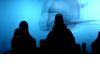 Оборудование для аттракциона 4D 5D кинотеатр