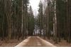 Уменьшенная картинка