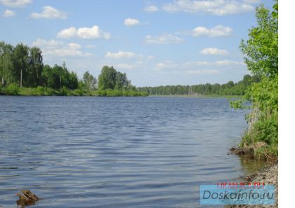 Продается участок. Дмитровское шоссе. 65 км от МКАД.