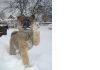 Уменьшенная картинка