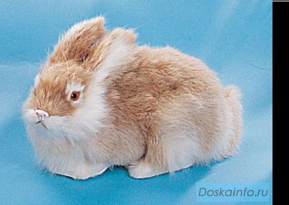Мягкая игрушка Заяц