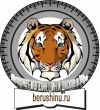 Шины КАМА – полный ассортимент в магазине в Уфе