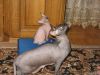 Уменьшенная картинка