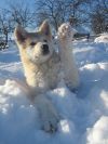 Уменьшенная картинка