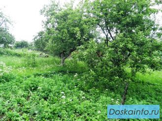 Всеволожский район. СНТ массив Грузино. земельный участок 8 соток. 