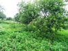 Уменьшенная картинка