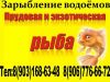 Прудовая рыба