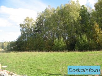 Продаю 2смежных земельных участка в Раменском районе д.Капустино