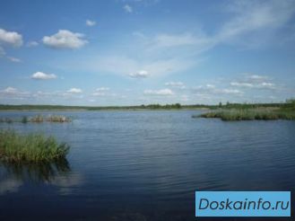 КП 'Рыбацкий рай' - продажа участков от собственника.
