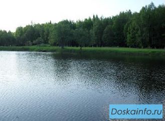 Профессиональная очистка и углубление водоемов, озер, прудов, рек. Берегоукрепление.