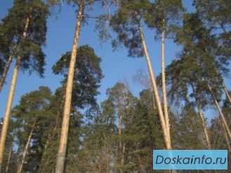 Участок 8сот ПМЖ в 2х км от г. Жуковский Новорязанское ш 20км МКАД. Г. Раменское. Участок Расположен