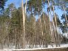 Уменьшенная картинка