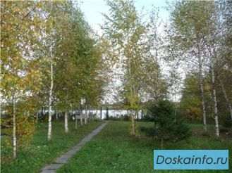 Участок у воды в Подмосковье