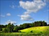 Продажа земельных участков для бизнеса