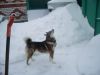 Уменьшенная картинка