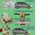 Уменьшенная картинка