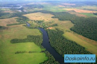 Продажа земельного участка 20 000 га