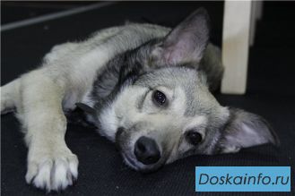 Очаровательный малыш
