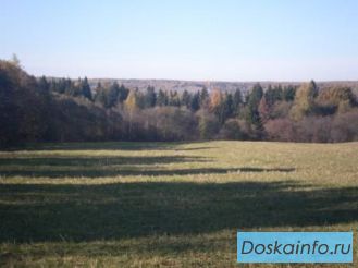 Участок 55 сот. ш.Тургенево Яросл. 85 км от Москвы.