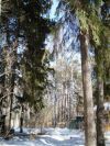Уменьшенная картинка