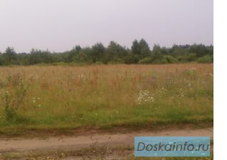 Продам земельный участок в Ленинградской области
