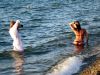 Отдых на Азовском море,пос.Кучугуры,частный сектор без посредников. 