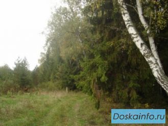 Участок,  Киевское и Минское шоссе, 78 км. от МКАД