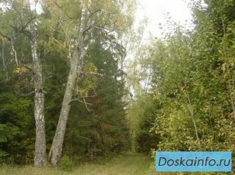 Участок,  Киевское и Минское шоссе, 78 км. от МКАД