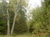 Уменьшенная картинка