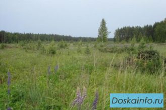 Участки ИЖС, Щелковское ш., 73 км от МКАД,