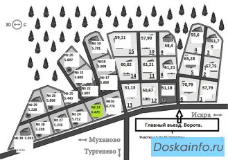 Уч. 55 сот. д. Тургенево Яросл.ш.85 км. от МКАД.
