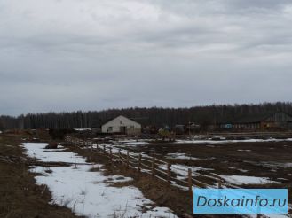 Продам ферму