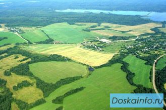 Продажа земельного участка в Дубовском районе