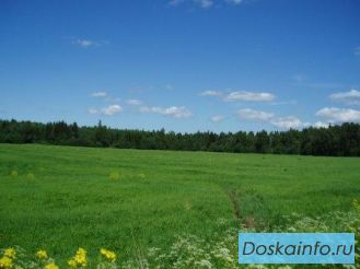 Продажа земельных участков в городе