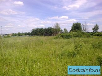 Прoдам учaстки под ИЖС в Раменском р-не, д. Минино