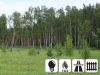 Уменьшенная картинка