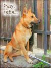 Уменьшенная картинка