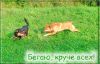 Уменьшенная картинка