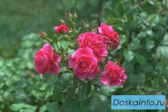 Участок 35 км от МКАД Новорязанское ш.1 км от г.Бронницы