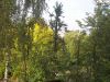 Уменьшенная картинка