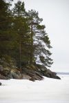 Уменьшенная картинка