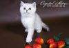 Уменьшенная картинка