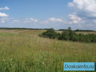 Участки 15 соток в дер. Канисты, 12 км от СПб