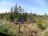 Уменьшенная картинка
