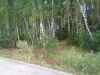 Уменьшенная картинка
